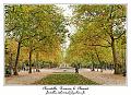 IMG_0874_RD