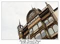 IMG_0881_RD