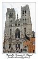 IMG_0891_RD