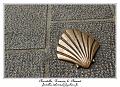 IMG_0895_RD