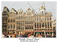 IMG_0914_RD