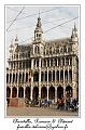 IMG_0920_RD