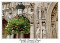 IMG_0927_RD