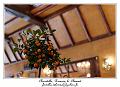 IMG_0931_RD