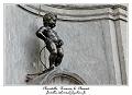 IMG_0942_RD