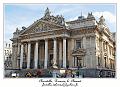 IMG_0951_RD