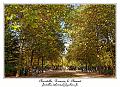 IMG_0969_RD