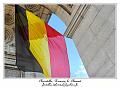 IMG_0977_RD