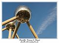 IMG_0988_RD