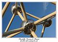 IMG_0989_RD