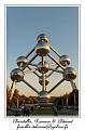 IMG_0999_RD