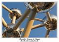 IMG_1002_RD