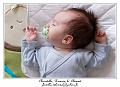 IMG_0158_RD