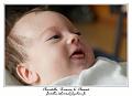 IMG_0180_RD