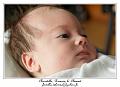 IMG_0182_RD