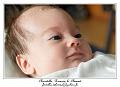 IMG_0183_RD