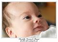 IMG_0184_RD