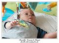 IMG_0215_RD