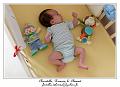 IMG_0099_RD