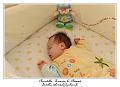 IMG_0144_RD