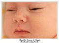 IMG_0145_RD
