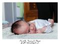 IMG_0009_RD