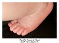 IMG_0018_RD