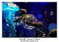 IMG_1088_RD