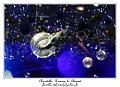 IMG_1089_RD