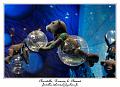 IMG_1090_RD