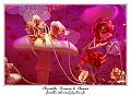 IMG_1091_RD