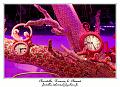 IMG_1092_RD
