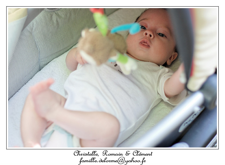 IMG_0293_RD.jpg