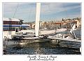 IMG_0317_RD