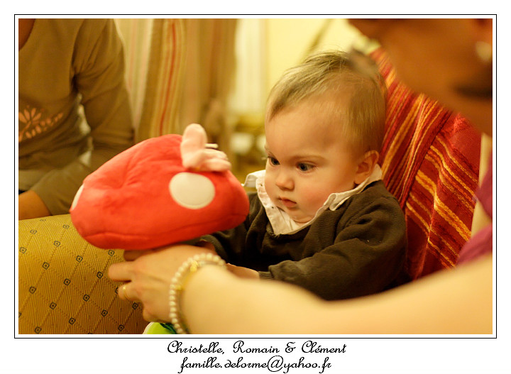 IMG_1260_RD.jpg - C'est un culbuto !