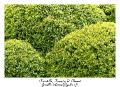 IMG_0069_RD