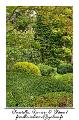 IMG_0070_RD