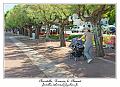 IMG_0656