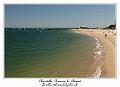 IMG_0662