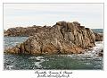 IMG_0502_RD