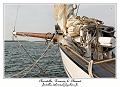 IMG_0798_RD