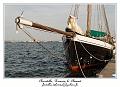 IMG_0800_RD