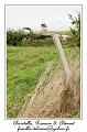 IMG_0403_RD
