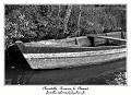 IMG_0419_RD