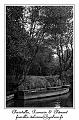 IMG_0420_RD