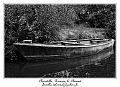 IMG_0421_RD