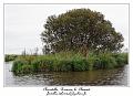 IMG_0424_RD