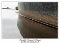 IMG_0428_RD