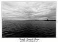 IMG_0430_RD