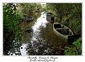 IMG_0450_RD